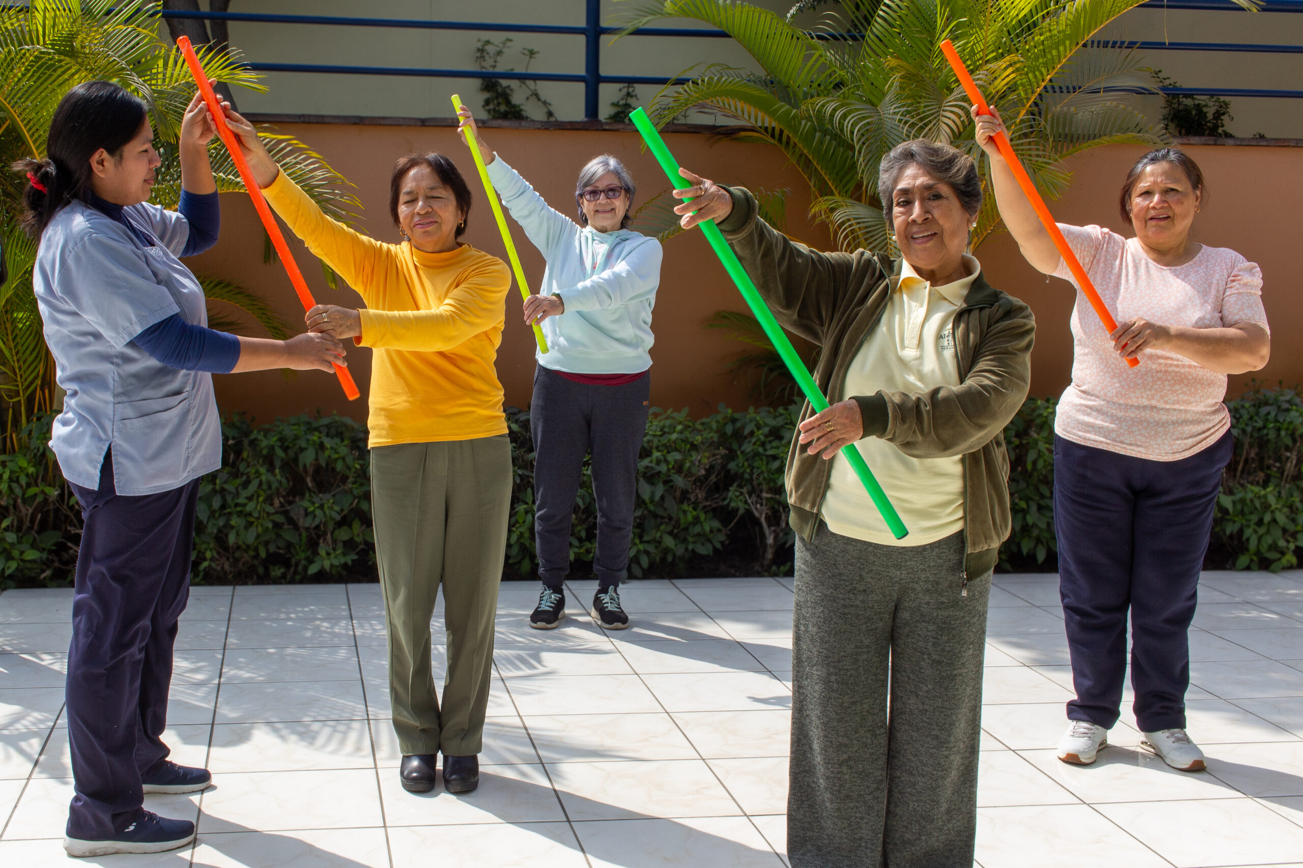 Rehabilitación Geriátrica